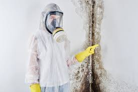 Funny River, AK Mold Removal Services Company